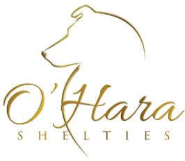 O'hara Shelties